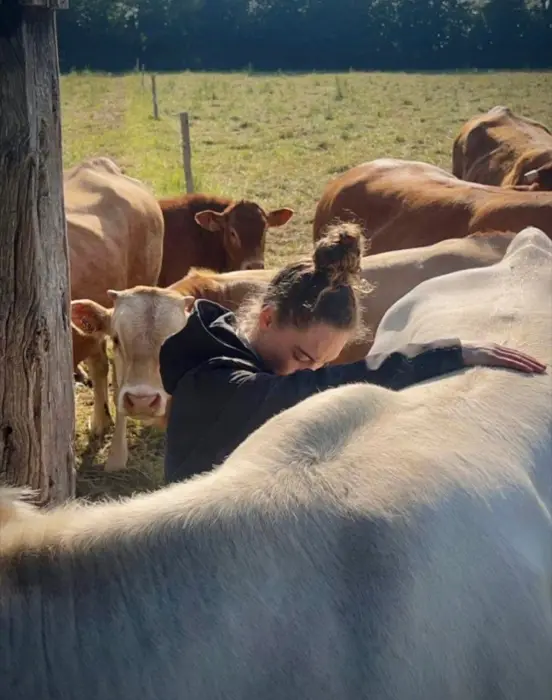Maya au milieu d’un troupeau de vaches